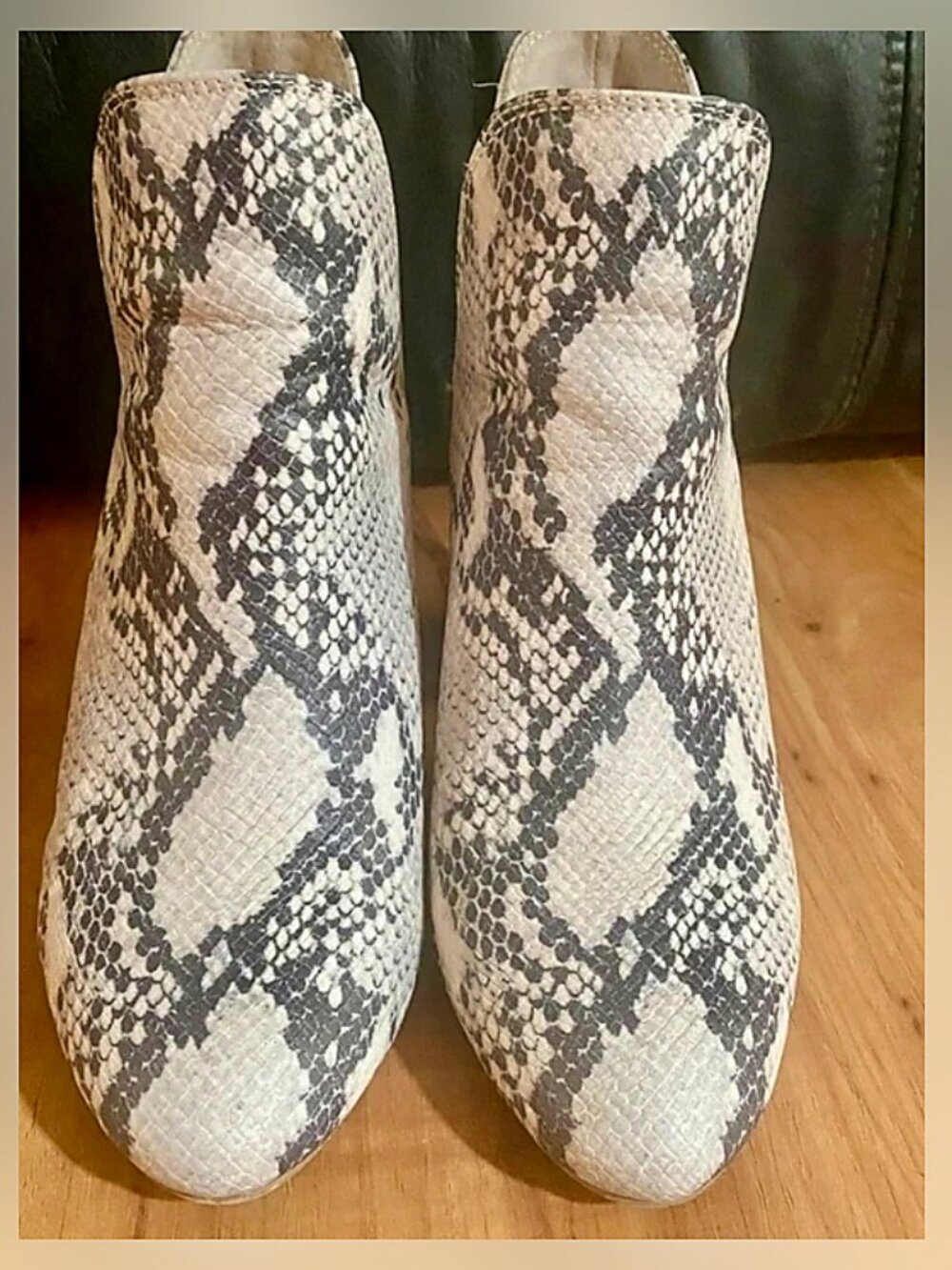 Steve Madden Snake Print Boots